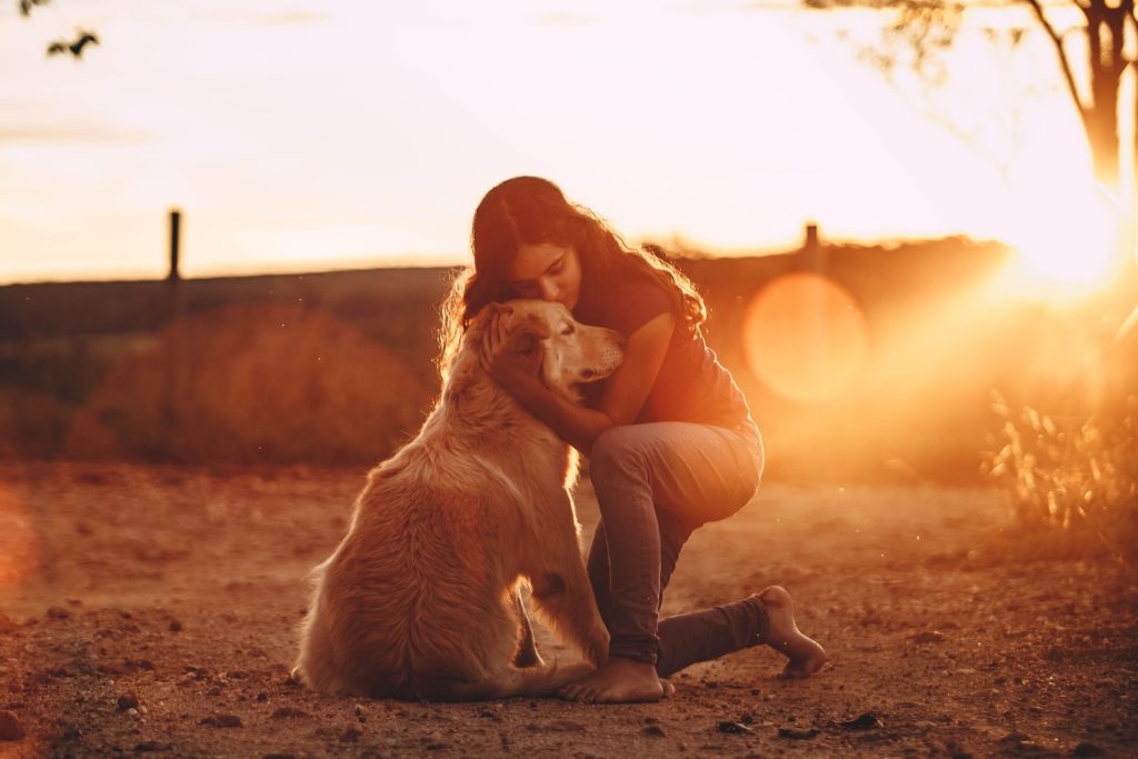 Dog anxiety Symptoms
