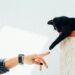 Pet Calm Lab - Vet Doctor